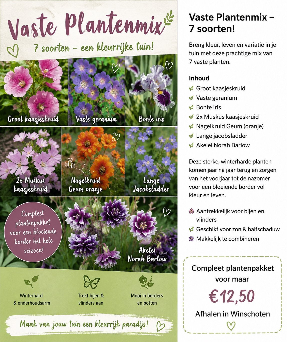 TUIN VOORDELIG INRICHTEN 8 vaste planten, Tuin en Terras, Ophalen