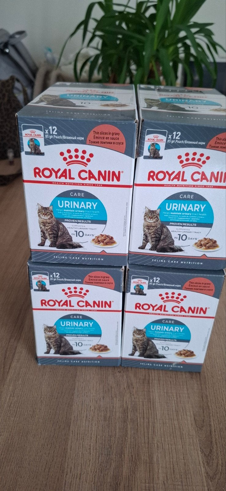 Royan Canin Urinary Care 4x12 natvoer, Ophalen of Verzenden, Kat