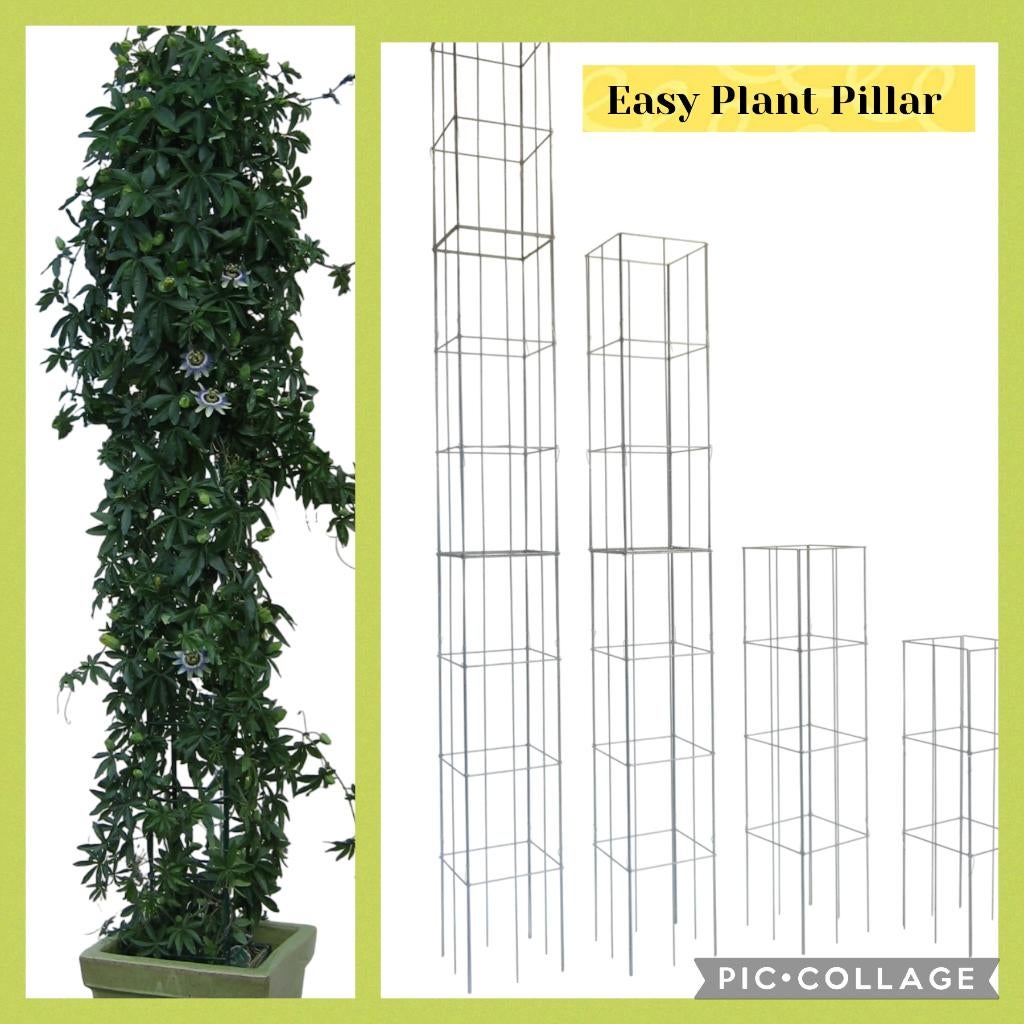 40 modellen draadrekken PLANTENSTEUN klimplantrekken, Overige soorten, Volle zon, Vaste plant, Ophalen of Verzenden