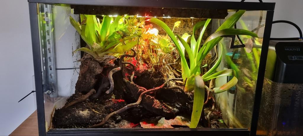Mooie vivarium, Ophalen, Gebruikt, Terrarium of Paludarium