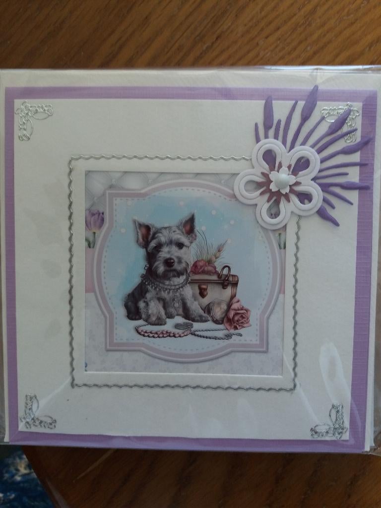 Blanko kaartje met hondje. No. 2354, Ophalen of Verzenden, Nieuw, Dieren