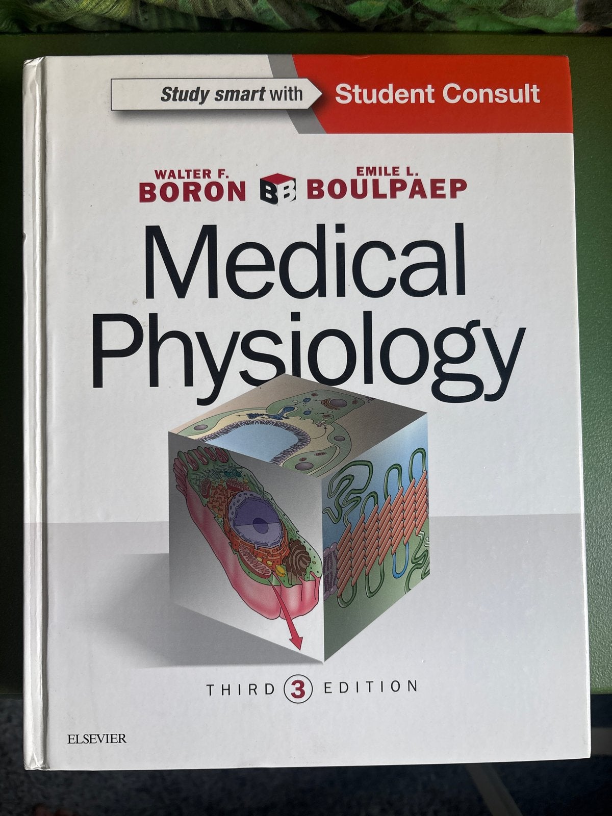 Medical Physiology - Boron & Boulpaep (3e editie), Ophalen of Verzenden, Beta, Zo goed als nieuw, HBO