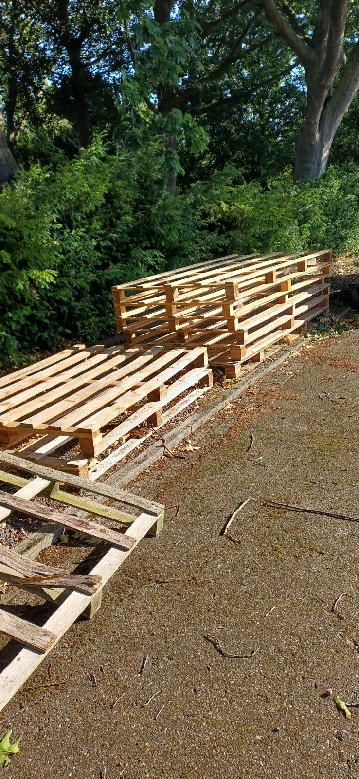 Gratis pallets, Ophalen, Overige houtsoorten, Minder dan 200 cm, Pallet