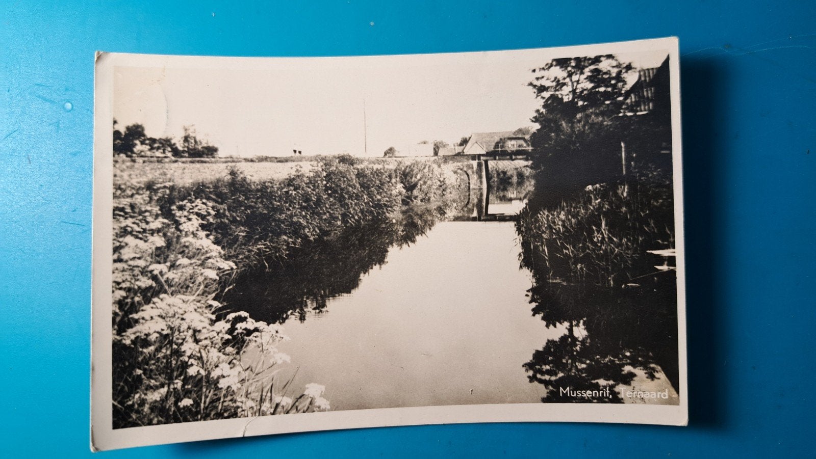 Ternaard mussenrif 1948, Ophalen of Verzenden, 1940 tot 1960, Gelopen, Friesland