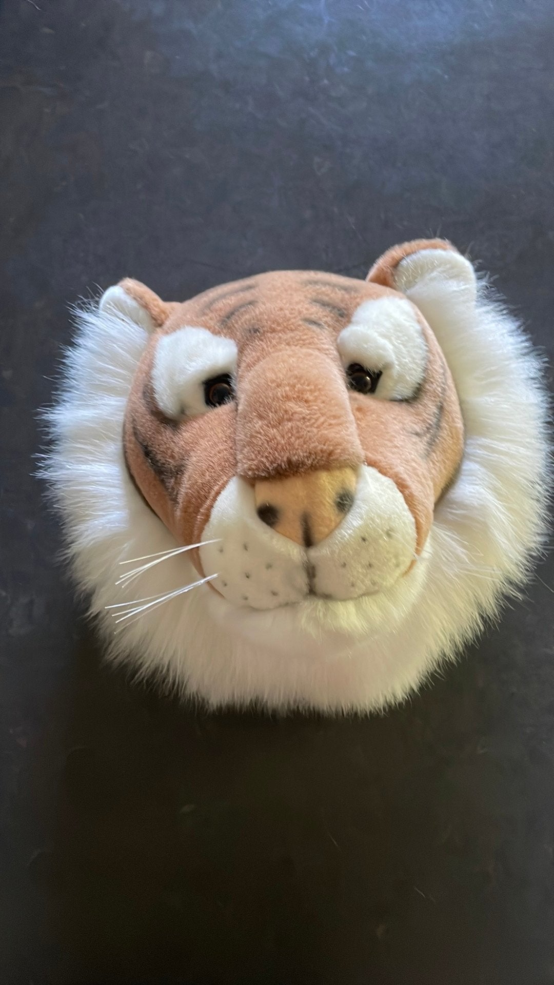 Pluche leeuwen kop, Kinderen en Baby's, Kinderkamer | Inrichting en Decoratie, Ophalen, Oranje, Overige merken, Overige typen