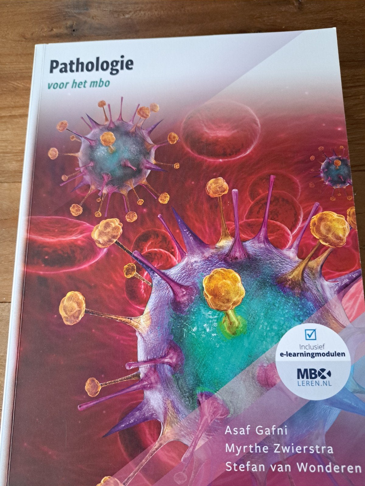 Pathologie voor het MBO - Inclusief e-learningmodulen, Boeken, Zo goed als nieuw, MBO, Beta, Asaf Gafni, Myrthe ZWierstra, Stefan van Wonderen