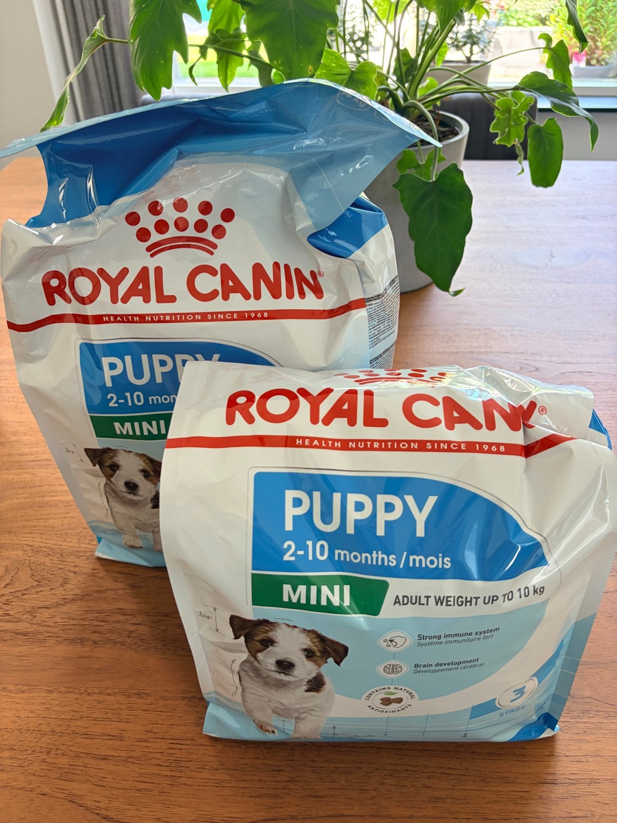 Royal Canin puppy brokken - ca. 6.5kg - niet meer nodig, Ophalen, Hond
