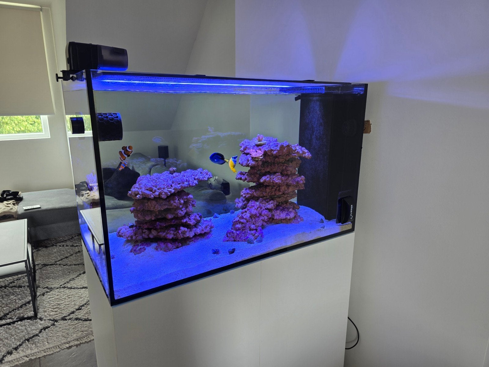 Peninsula zoutwater aquarium 90 x 55 x 50, Dieren en Toebehoren, Ophalen, Gevuld zeewateraquarium, Inclusief toebehoren, Overige merken