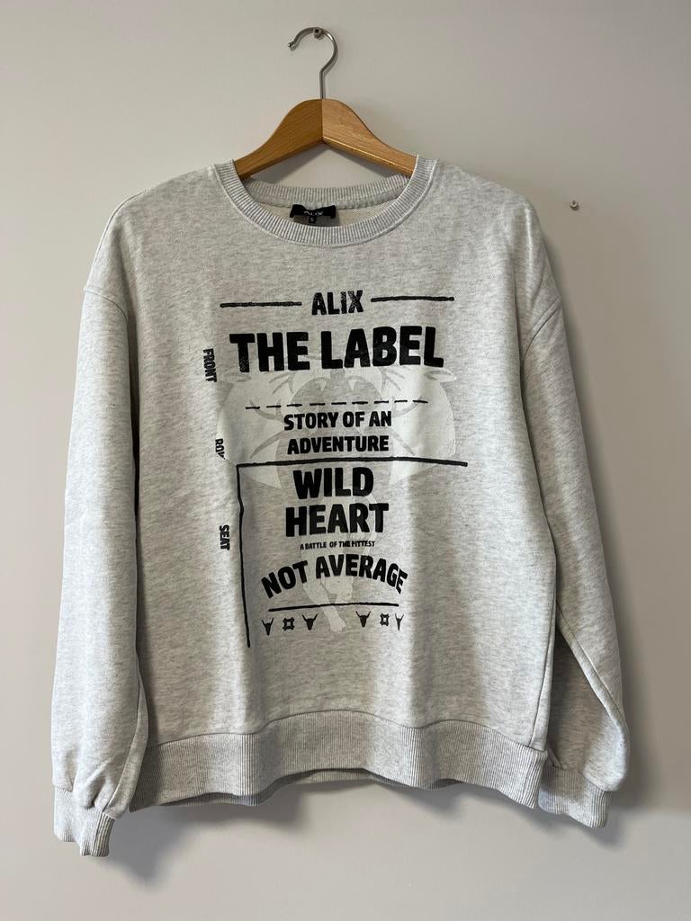 Alix The Label Sweater Maat S Grijs zgan, Ophalen of Verzenden, Zo goed als nieuw, Maat 36 (S), Grijs