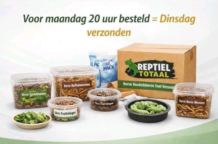 voedseldieren goede kwaliteit, Ophalen of Verzenden