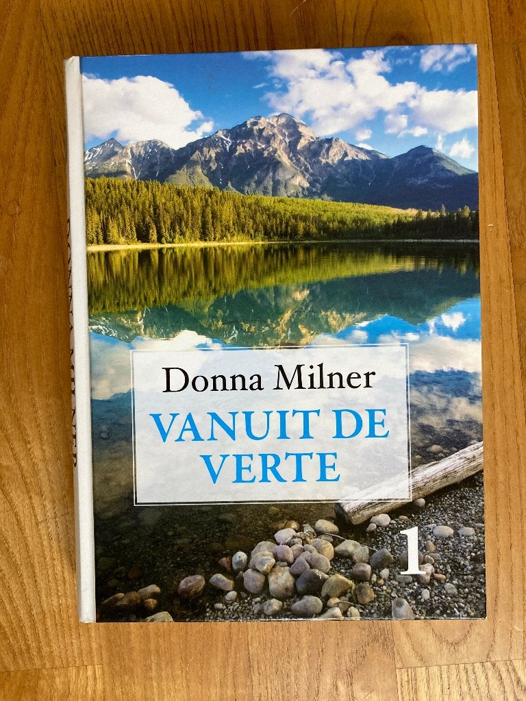 Boek Vanuit de verte - Donna Milner Grote Letter bibliotheek, Boeken, Romans, Ophalen of Verzenden, Zo goed als nieuw, Nederland