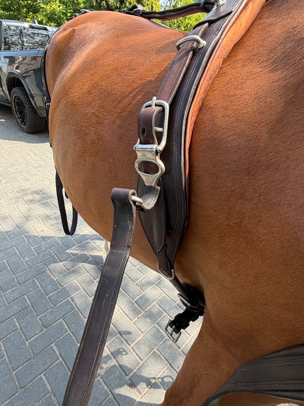 Goed onderhouden, super net vd Wiel tuig, mt full, Dieren en Toebehoren, Paarden en Pony's | Hoofdstellen en Tuigage, Ophalen of Verzenden