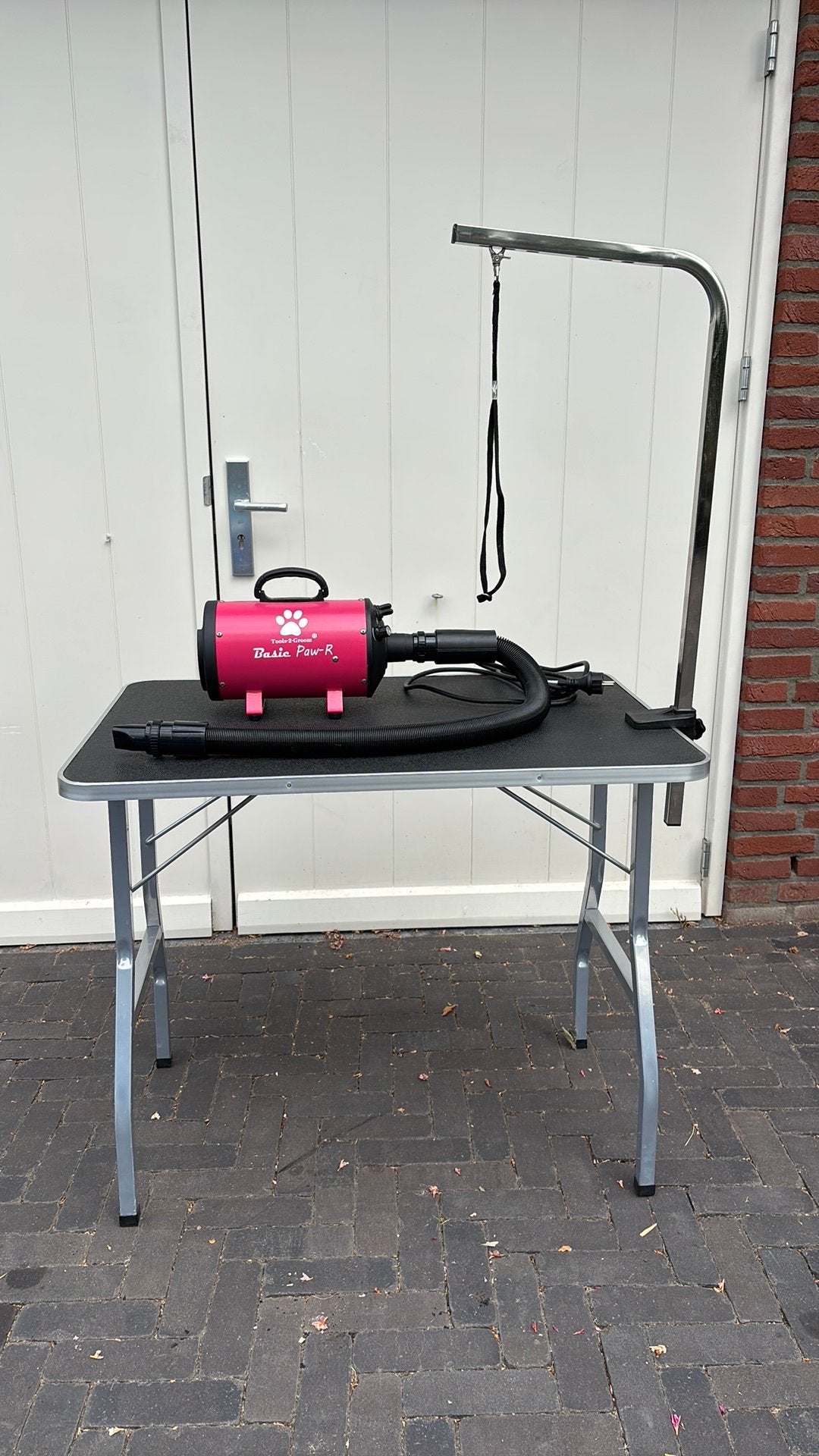 Tools-2-Groom Basic Paw-R hondenfohn, Dieren en Toebehoren, Honden-accessoires, Overige merken, Ophalen, Zo goed als nieuw, Waterblazer/föhn