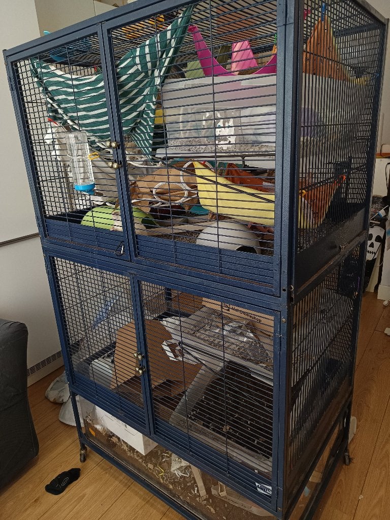 Savic Royal kooi voor ratten of fretten + accessoires, Ophalen, Gebruikt, Overige typen