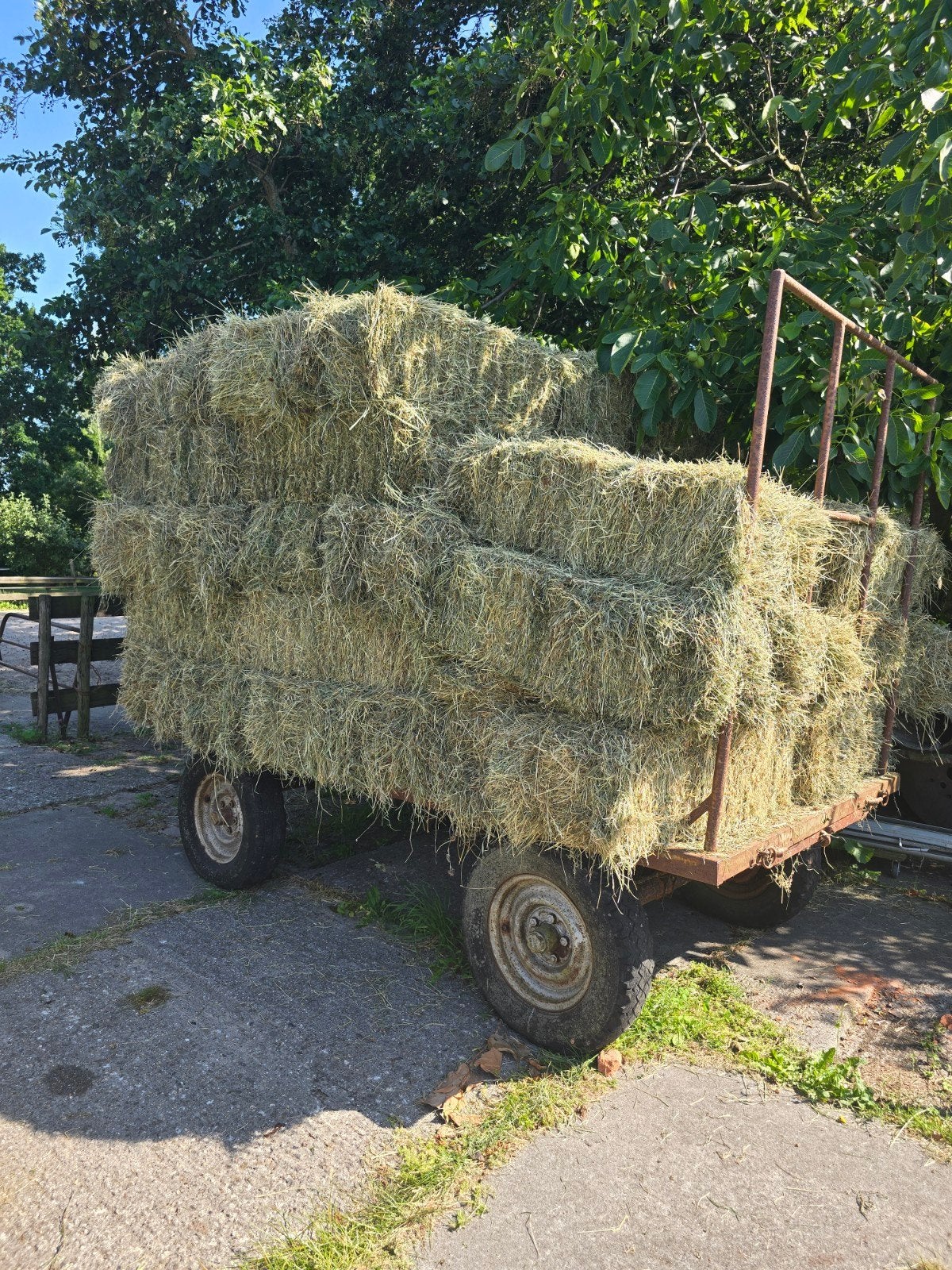Hooibalen te koop uit de Beemster, Dieren en Toebehoren, Dierenvoeding, Ophalen of Verzenden