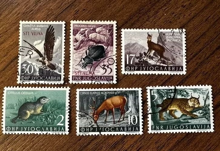 Joegoslavië 1954 Dieren en Vogels Gestempeld Postzegels, Ophalen of Verzenden, Joegoslavië, Gestempeld