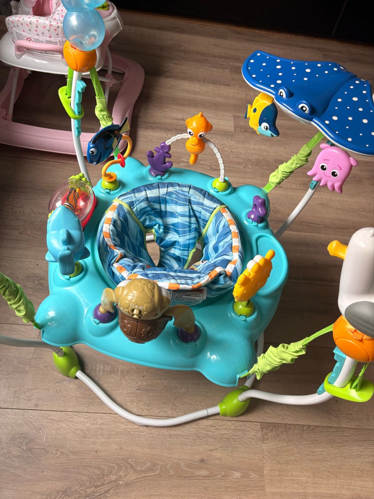 Baby Einstein Dory Jumper, Ophalen, Zo goed als nieuw, Overige typen, Met licht