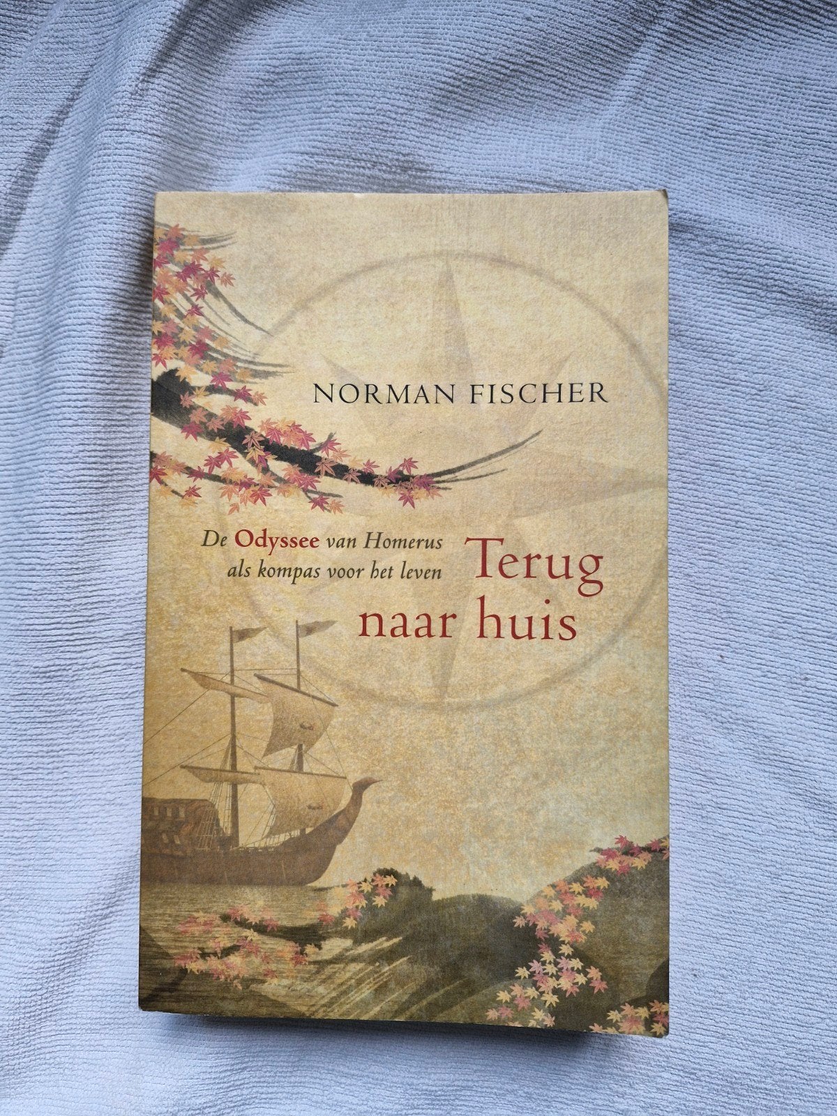 Terug naar huis - De Odyssee van Homerus als kompas, Ophalen of Verzenden, Zo goed als nieuw, Norman Fischer, Nederland
