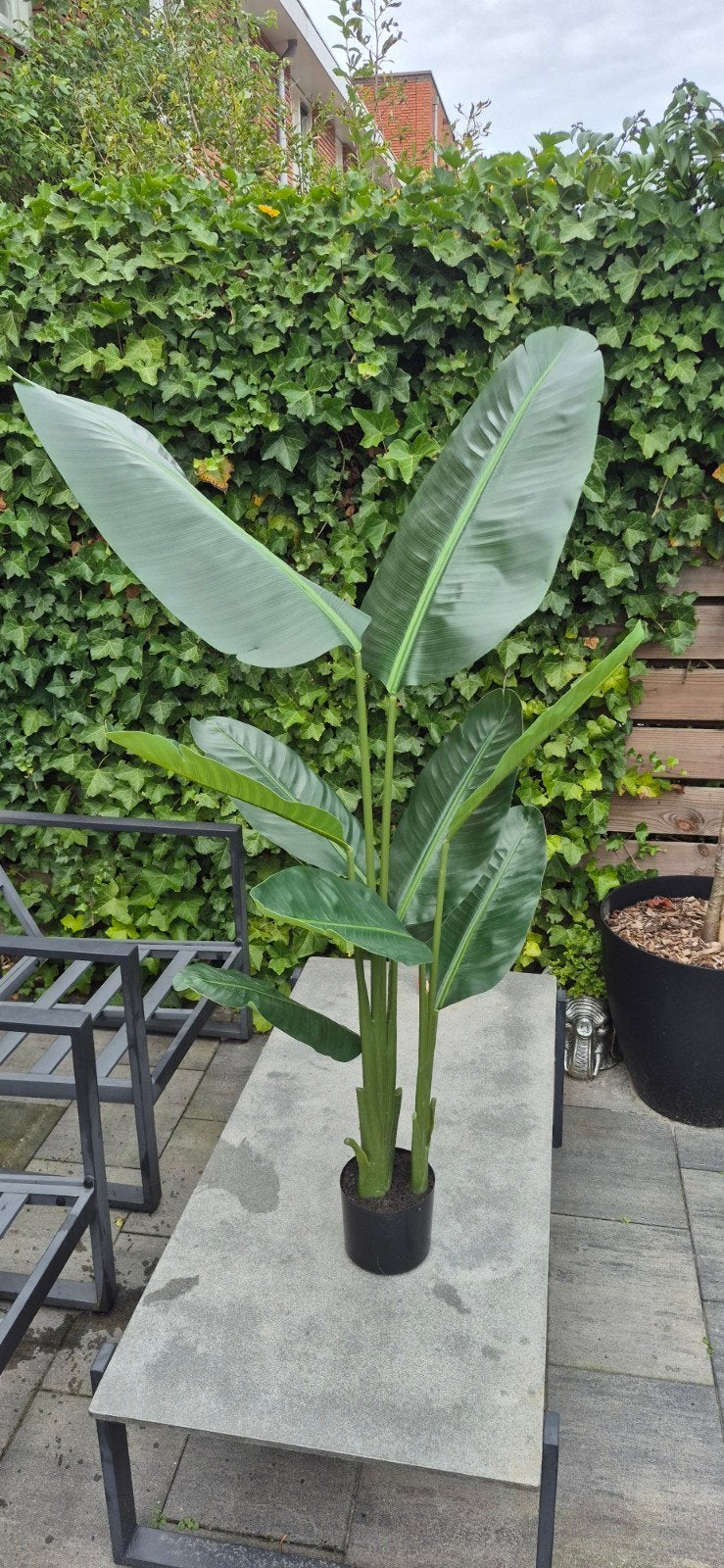 Strelitzia kunstplant, Ophalen, Groen, 160 cm, Kunstplant