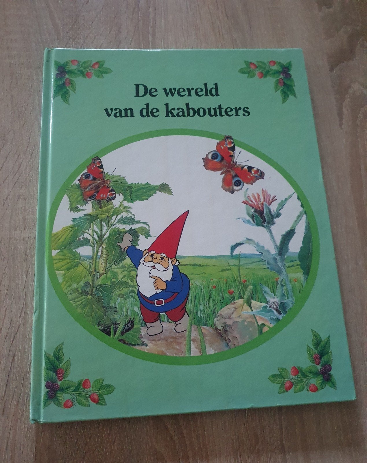 De wereld van de kabouters - Boek, Ophalen of Verzenden, Zo goed als nieuw, Sprookjes, Wil Huygen