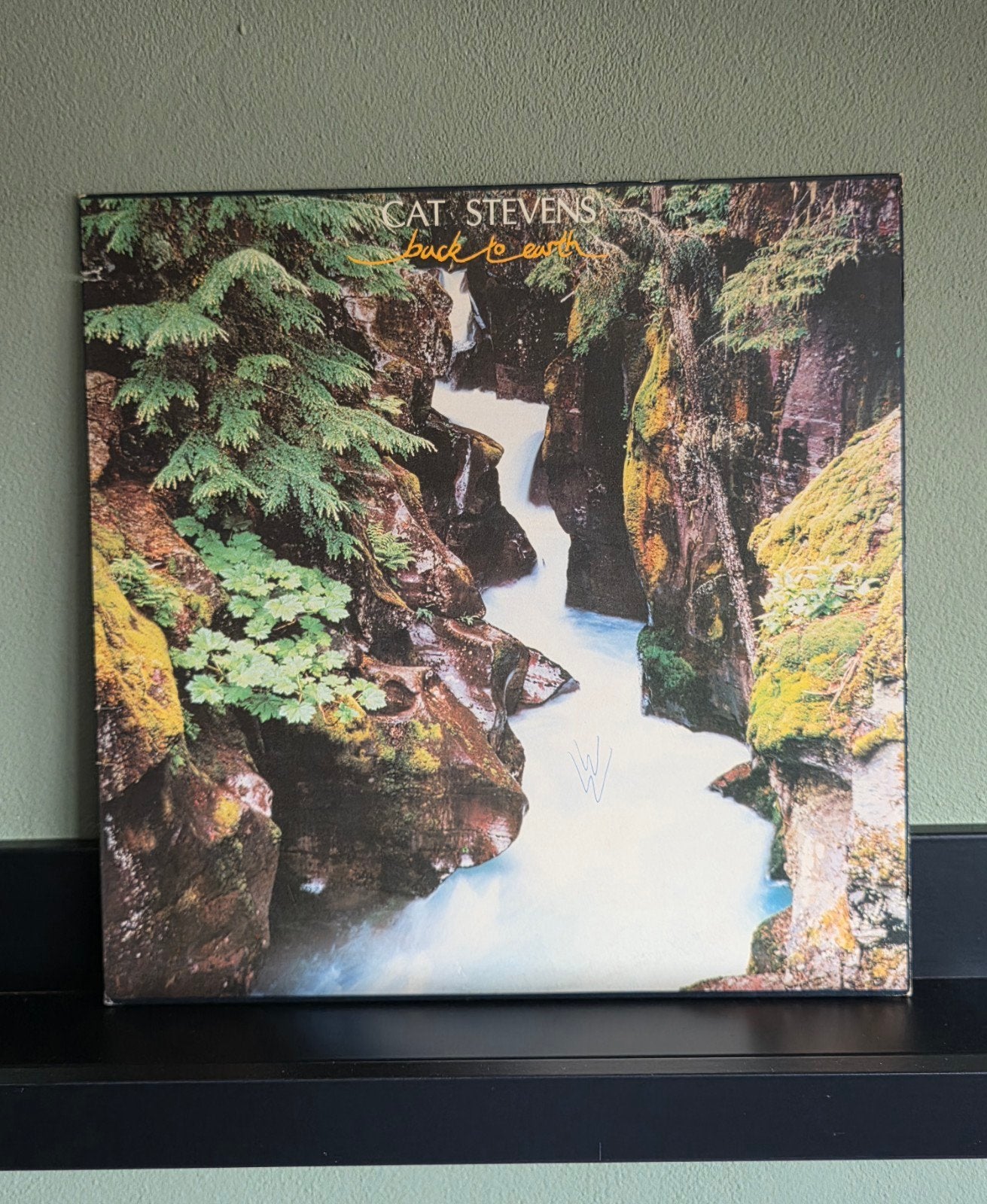 Lp, Cat Stevens  / Back tot Earth, Cd's en Dvd's, Vinyl | Pop, Zo goed als nieuw, 12 inch, Ophalen of Verzenden