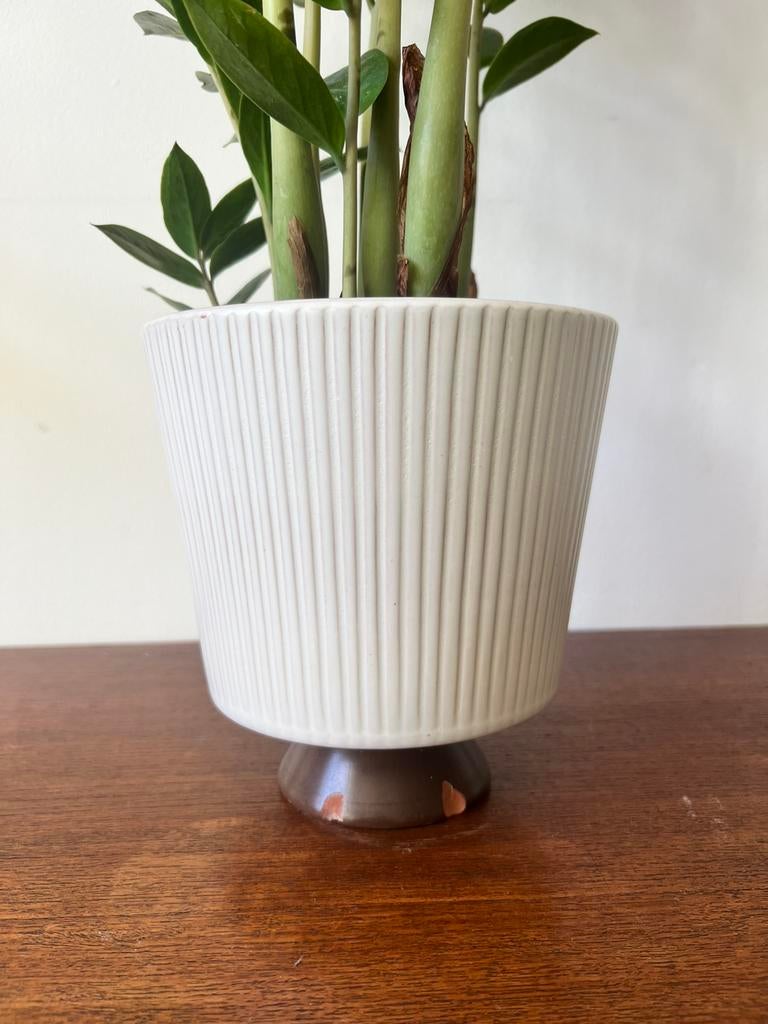 Vintage bloempot wit bruin, Ophalen, Rond, Zo goed als nieuw, Aardewerk