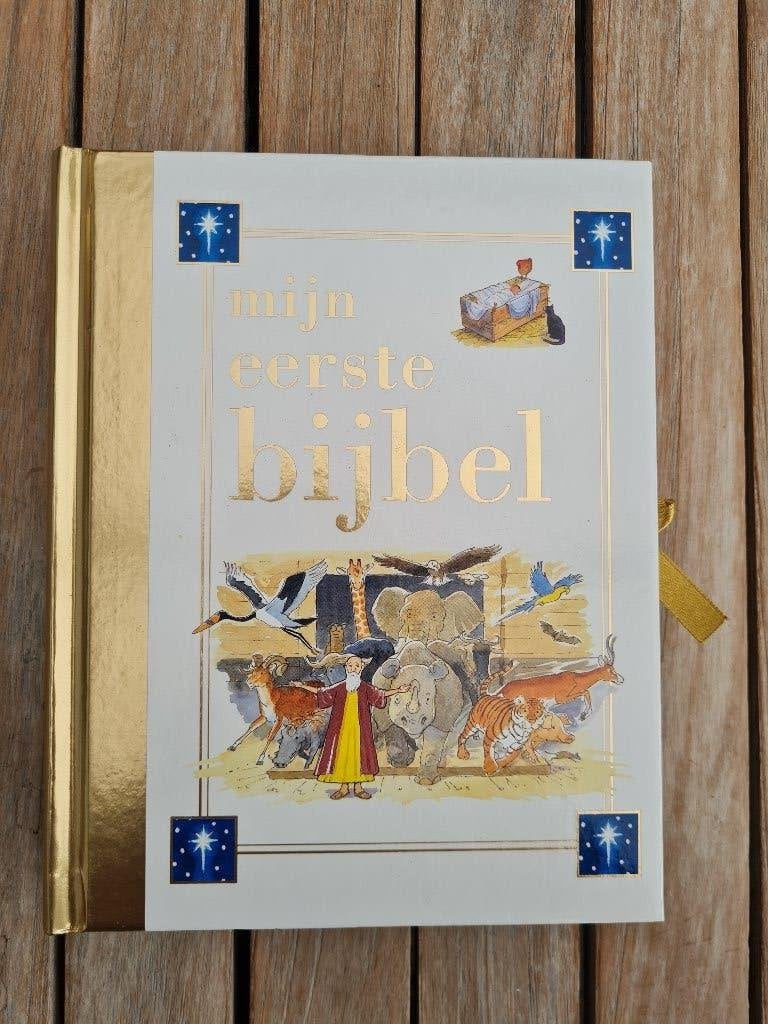 Mijn Eerste Bijbel – kinderbijbel (ISBN: 9781405400916), Boeken, Ophalen of Verzenden, Zo goed als nieuw, Christendom | Katholiek