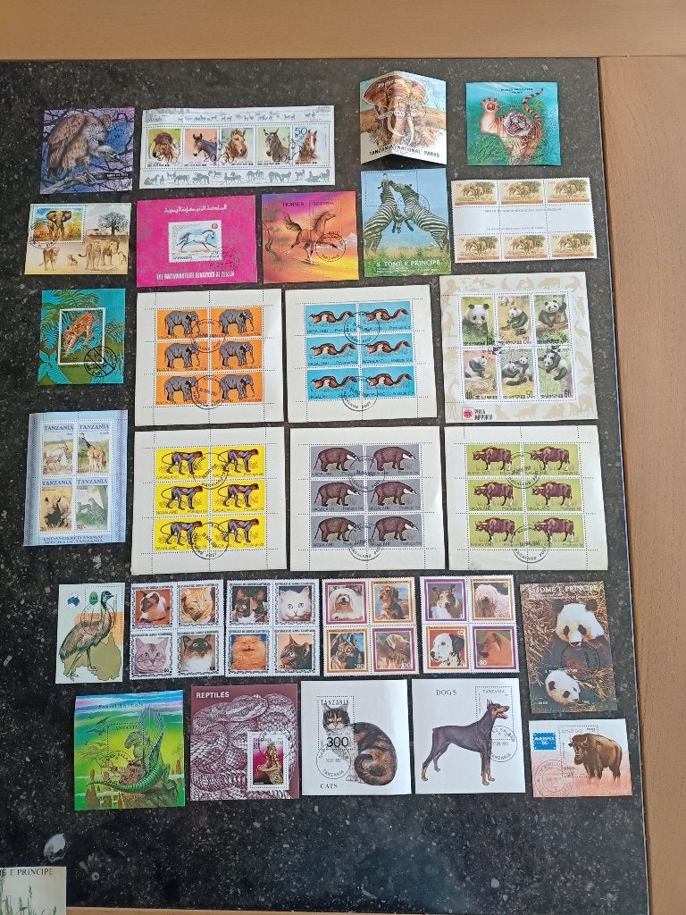 verzameling postzegels dieren, Ophalen of Verzenden, Dier of Natuur