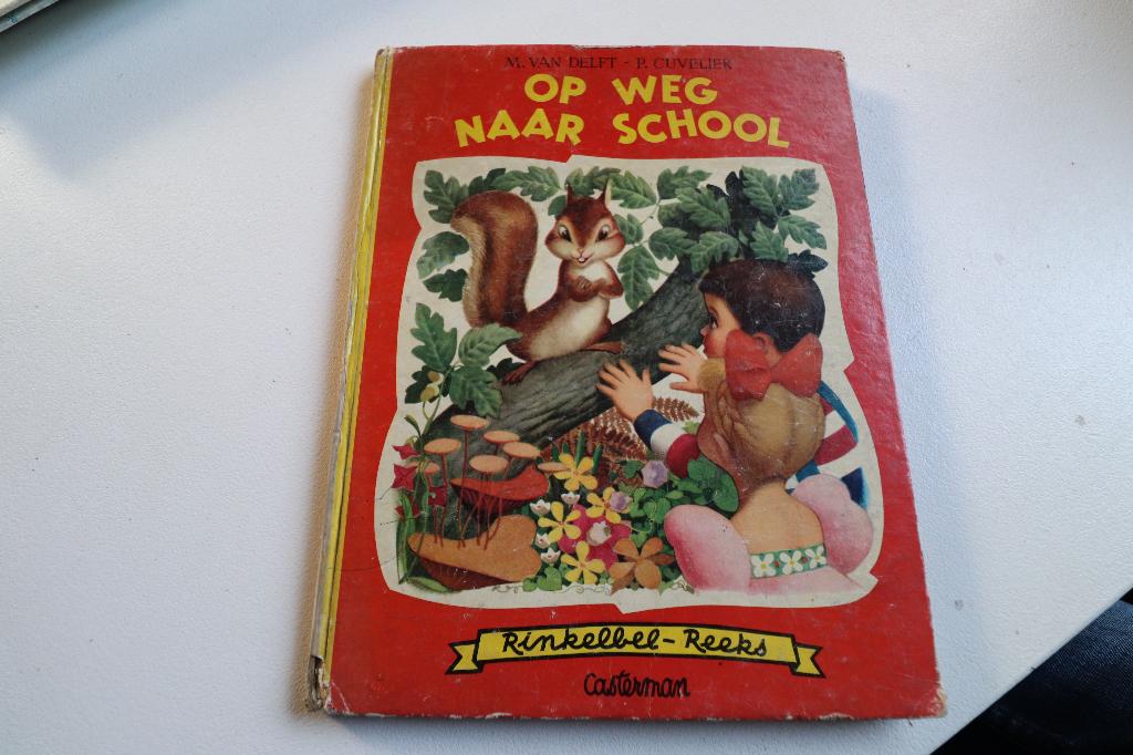 Op weg naar school 1950, Ophalen of Verzenden, Gelezen, Fictie algemeen