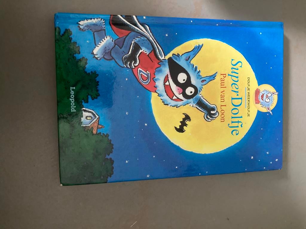 Superdorfje boek paul van loon, Ophalen of Verzenden, Zo goed als nieuw, Fictie algemeen