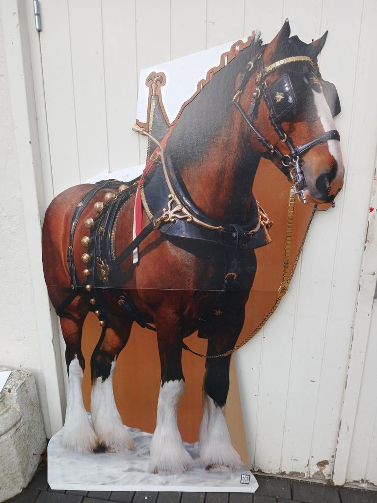 Grote Clydesdale foldable Budweiser N.O.S. country&western, Ophalen of Verzenden, Zo goed als nieuw, Insect, Opgezet dier