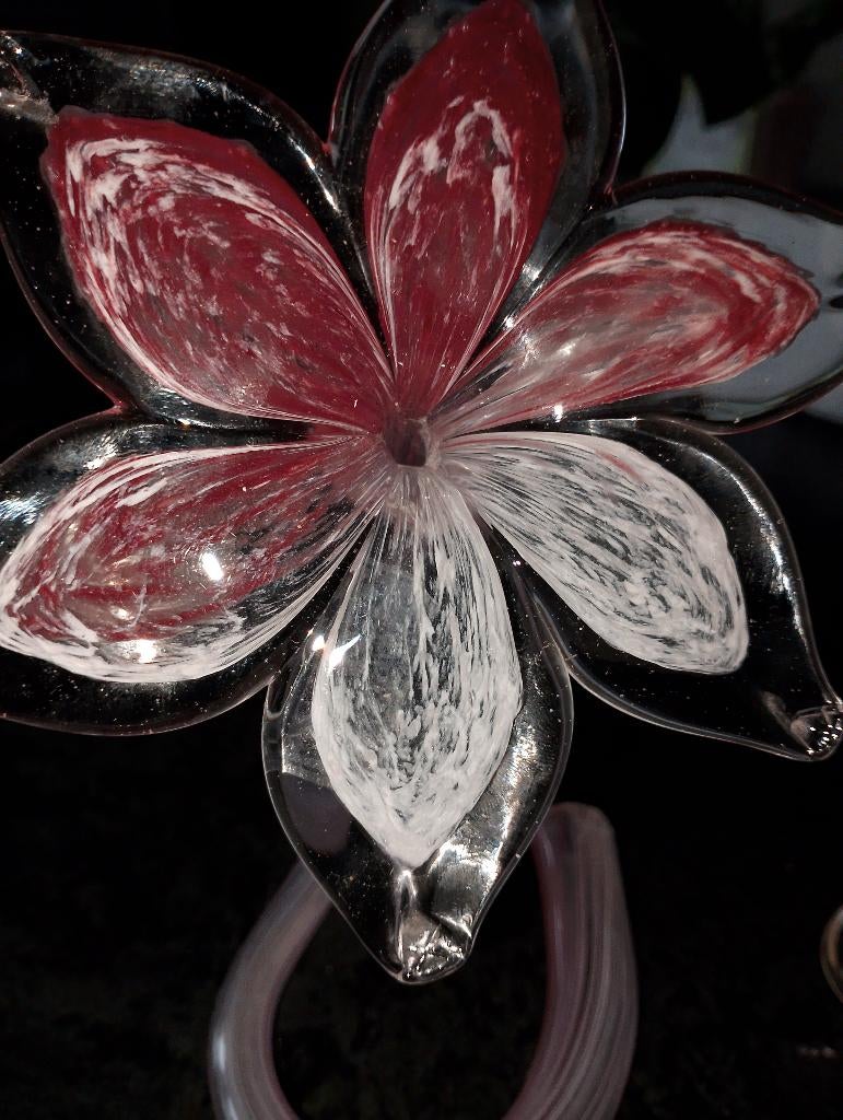 Kristallen Murano, Ophalen