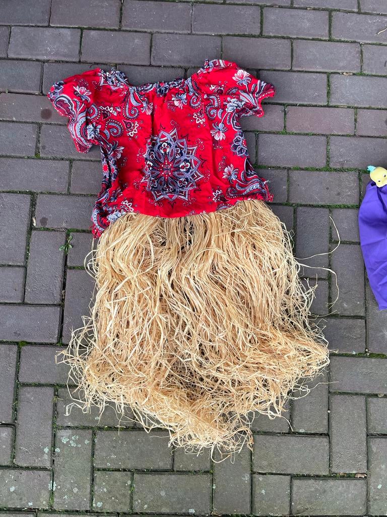 Vogelverschrikker Kostuum Dames - Maat L, Maat 42/44 (L), Ophalen of Verzenden, Zo goed als nieuw, Halloween