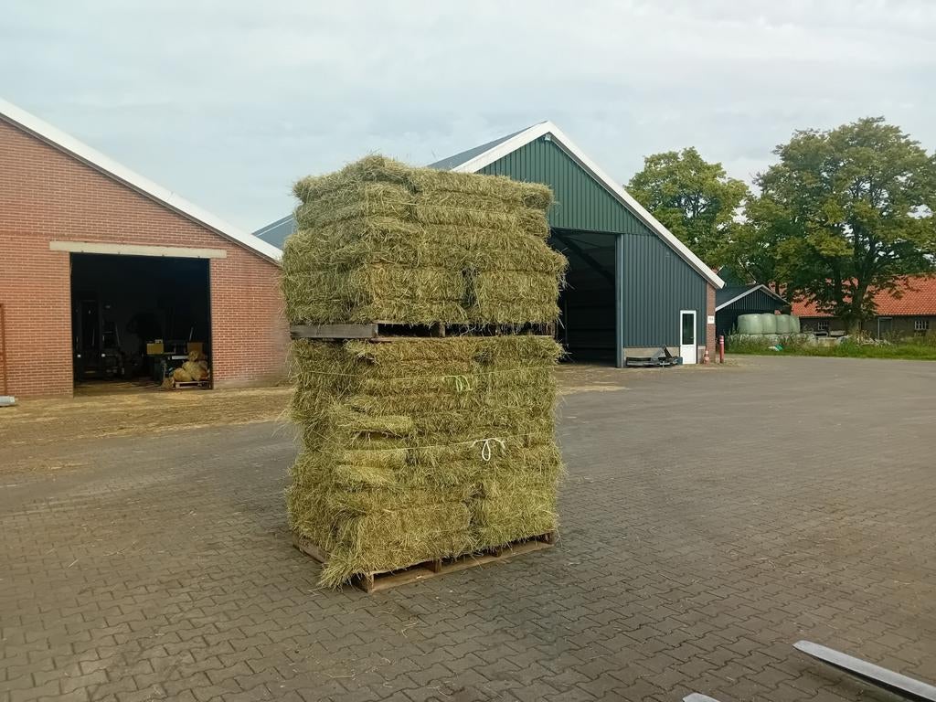 Duits/Frans kruidenhooi/weidehooi laag suikerwaarde met Pavo, Ophalen, Vee