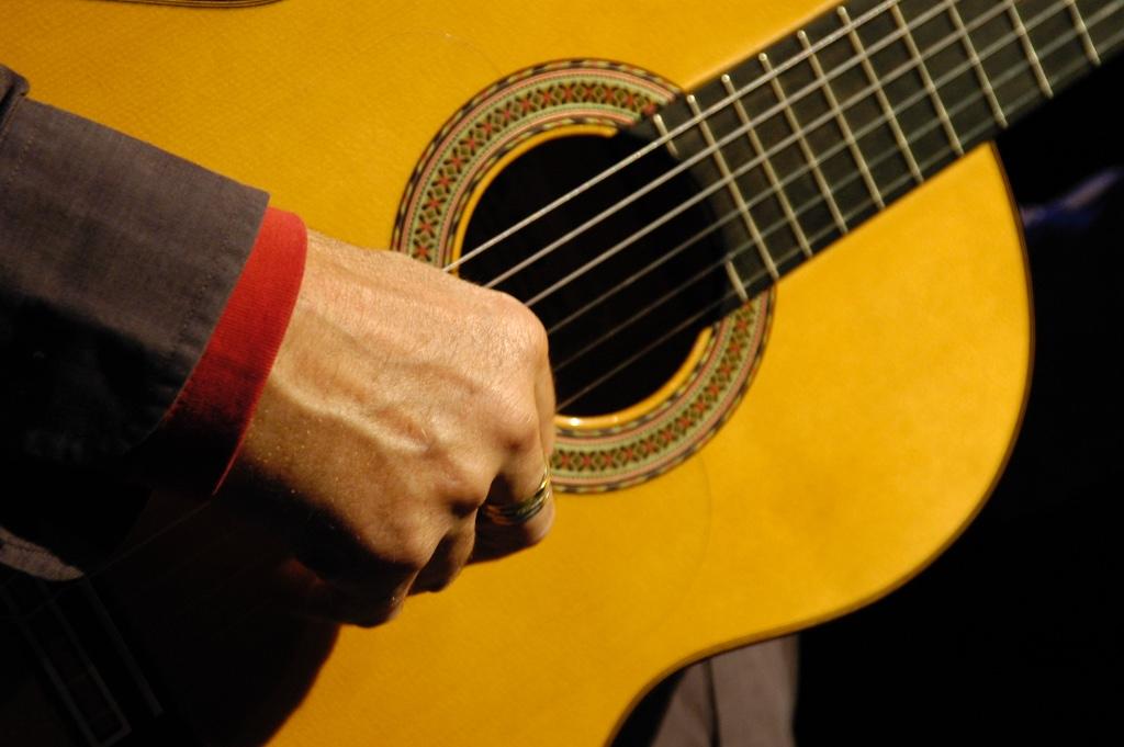 gitaarstudiofransvanIngen, Privéles, Snaarinstrumenten