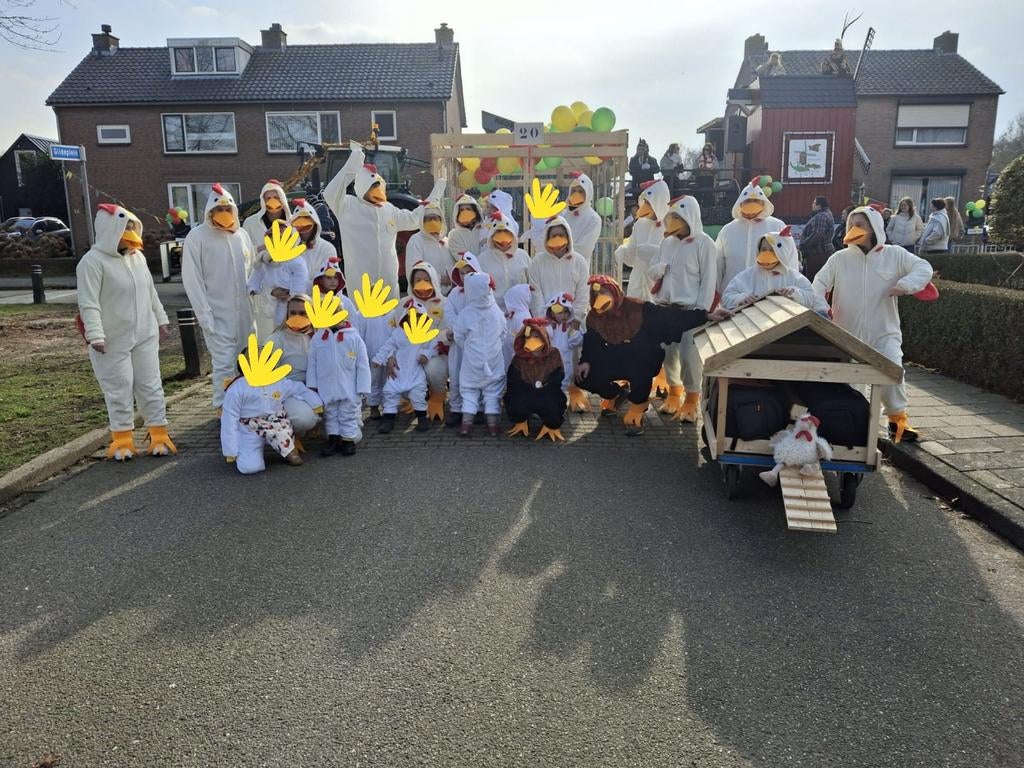 Kippen en hanenpakken, nog 19 stuks beschikbaar, Carnaval, Maat 46/48 (XL) of groter, Ophalen of Verzenden, Zo goed als nieuw