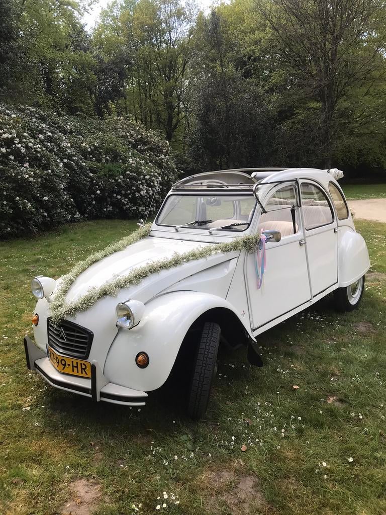 trouwauto groningen e.o., Diensten en Vakmensen, Verhuur | Auto en Motor, Met chauffeur, Trouwauto