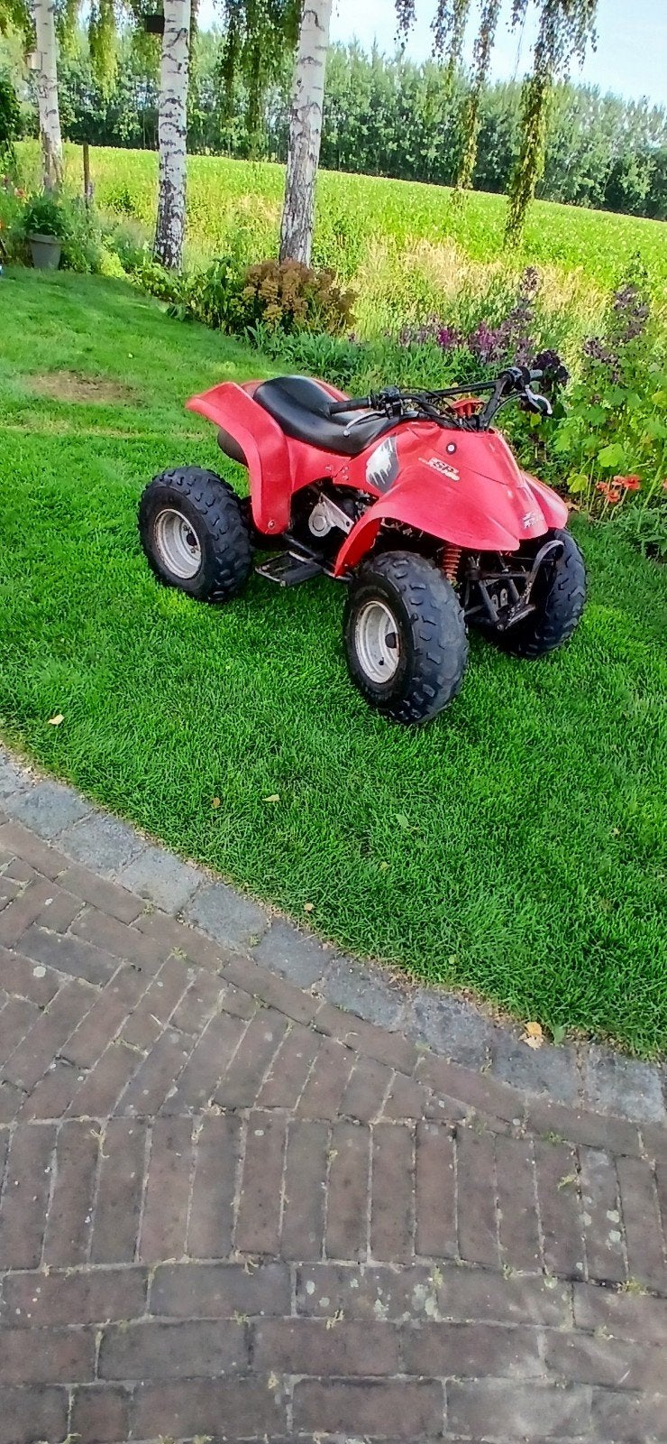 Eton 50 cc kinder quad, Fietsen en Brommers, Minibikes, Midibikes en Pitbikes, Ophalen of Verzenden, Gebruikt, Overige typen
