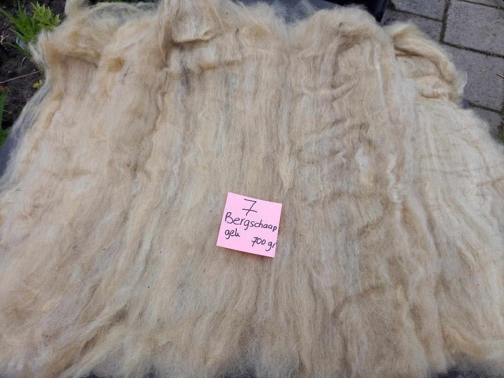 nr 7 Gekaarde ongewassen Bergschaap wol - kaardvlies, Ophalen of Verzenden, Gebruikt