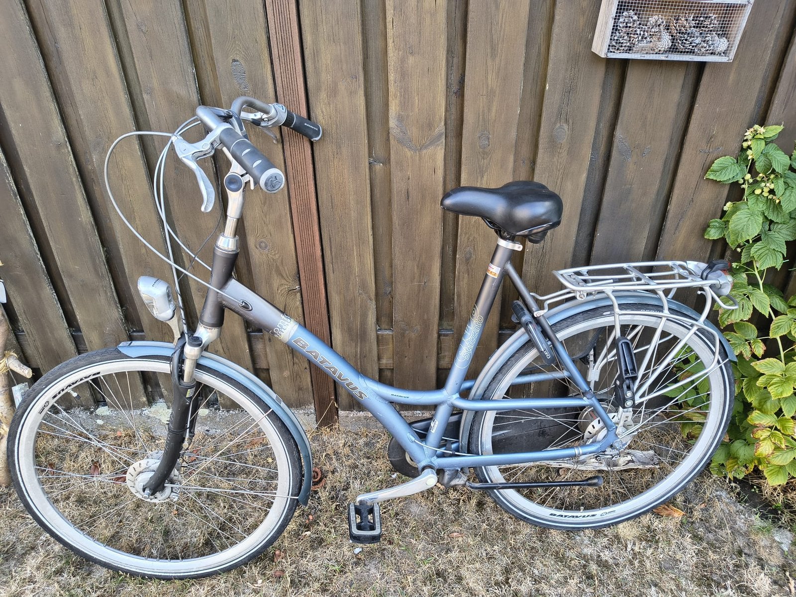Mooie Batavus damesfiets 28 inch met versnellingen, Ophalen, 20 inch of meer, Versnellingen, Batavus