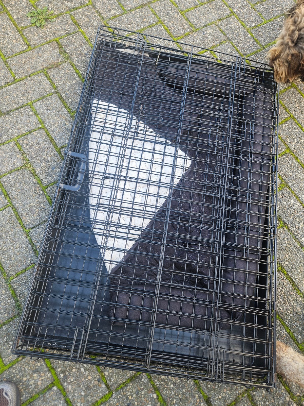 hondenbench, Dieren en Toebehoren, Ophalen, Zo goed als nieuw