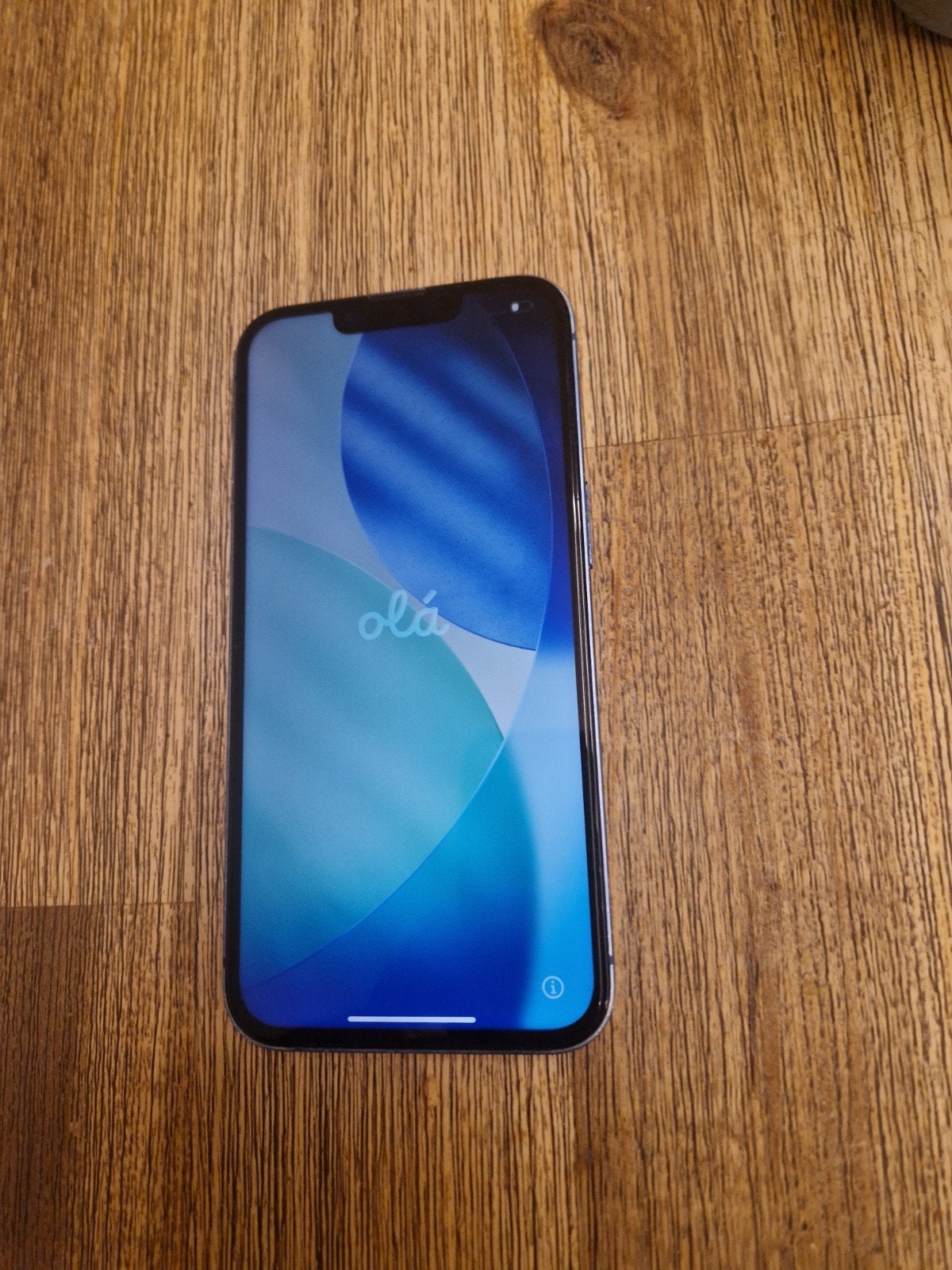 Apple iPhone 13 met defect., Ophalen of Verzenden, Blauw