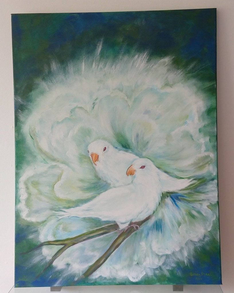 verf schilderij Love Albino Birds, volgnr 18, Ophalen