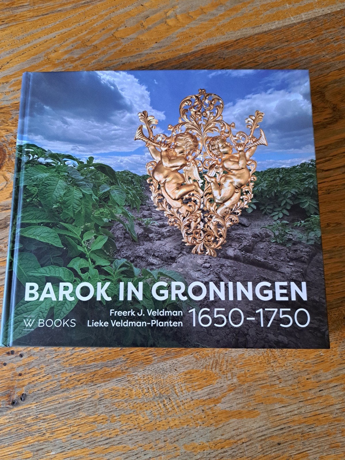 Barok in Groningen, Ophalen of Verzenden, Nieuw