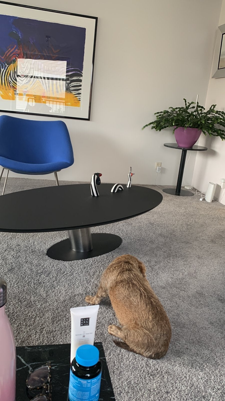 Design Salontafel van Bree’s New World model Libra, Ophalen, 100 tot 150 cm, 50 tot 100 cm, Zo goed als nieuw