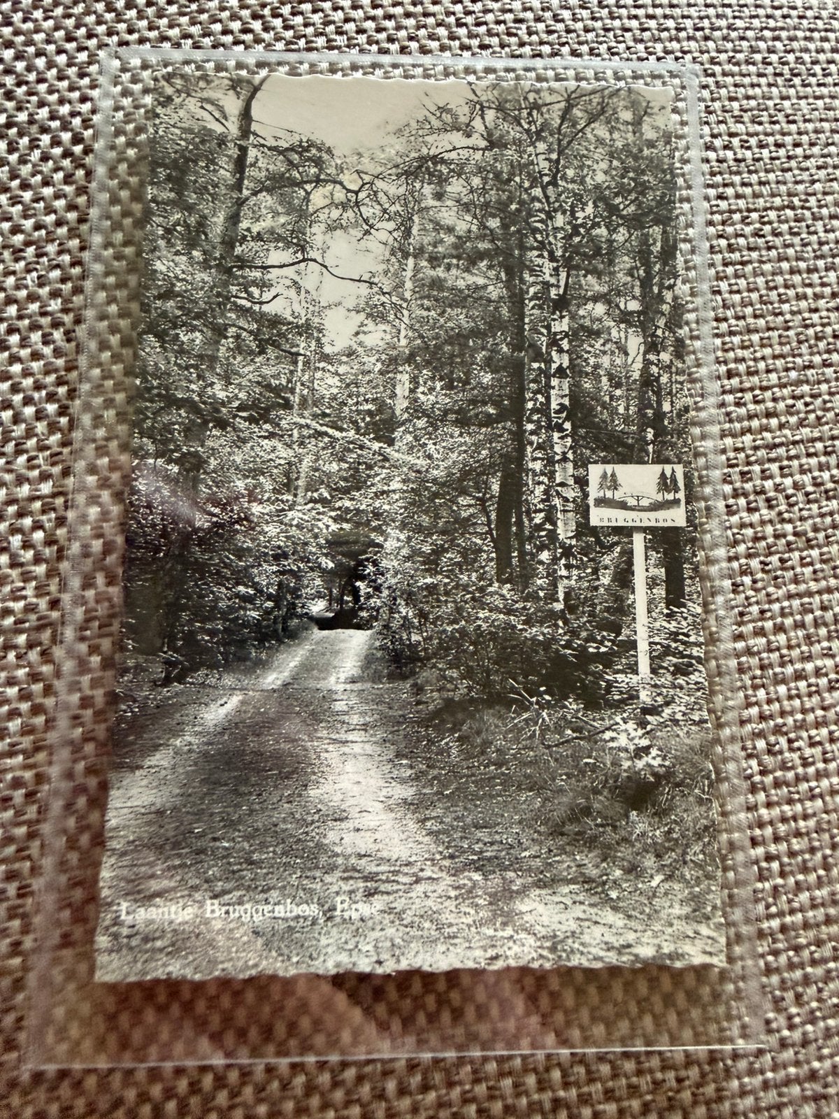 Ansichtkaart Epse laantje Bruggenbos, Ophalen of Verzenden, 1960 tot 1980, Overijssel