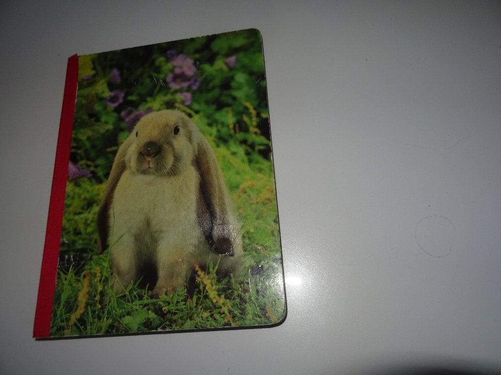 KARTON BOEK - Met 12 bekende Dieren, Ophalen