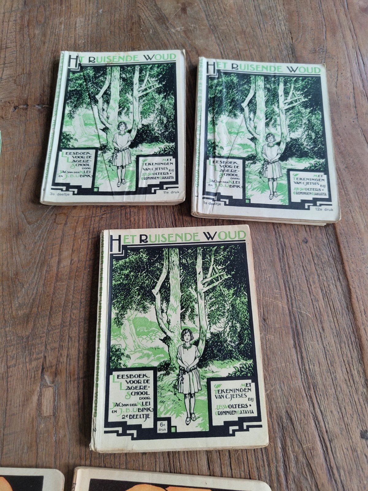 Het Ruisende Woud - Leesboek voor de Lagere School, Ophalen of Verzenden, Gelezen, J.B. Ubink, Non-fictie