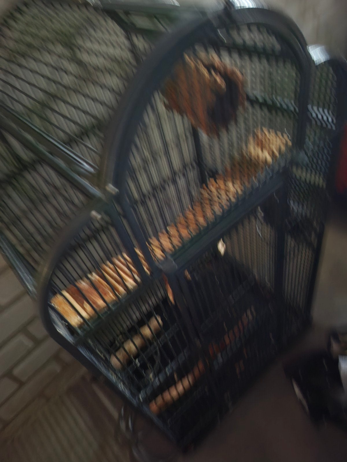 vogelkooi, Dieren en Toebehoren, Ophalen of Verzenden, Zo goed als nieuw, Metaal, Vogelkooi
