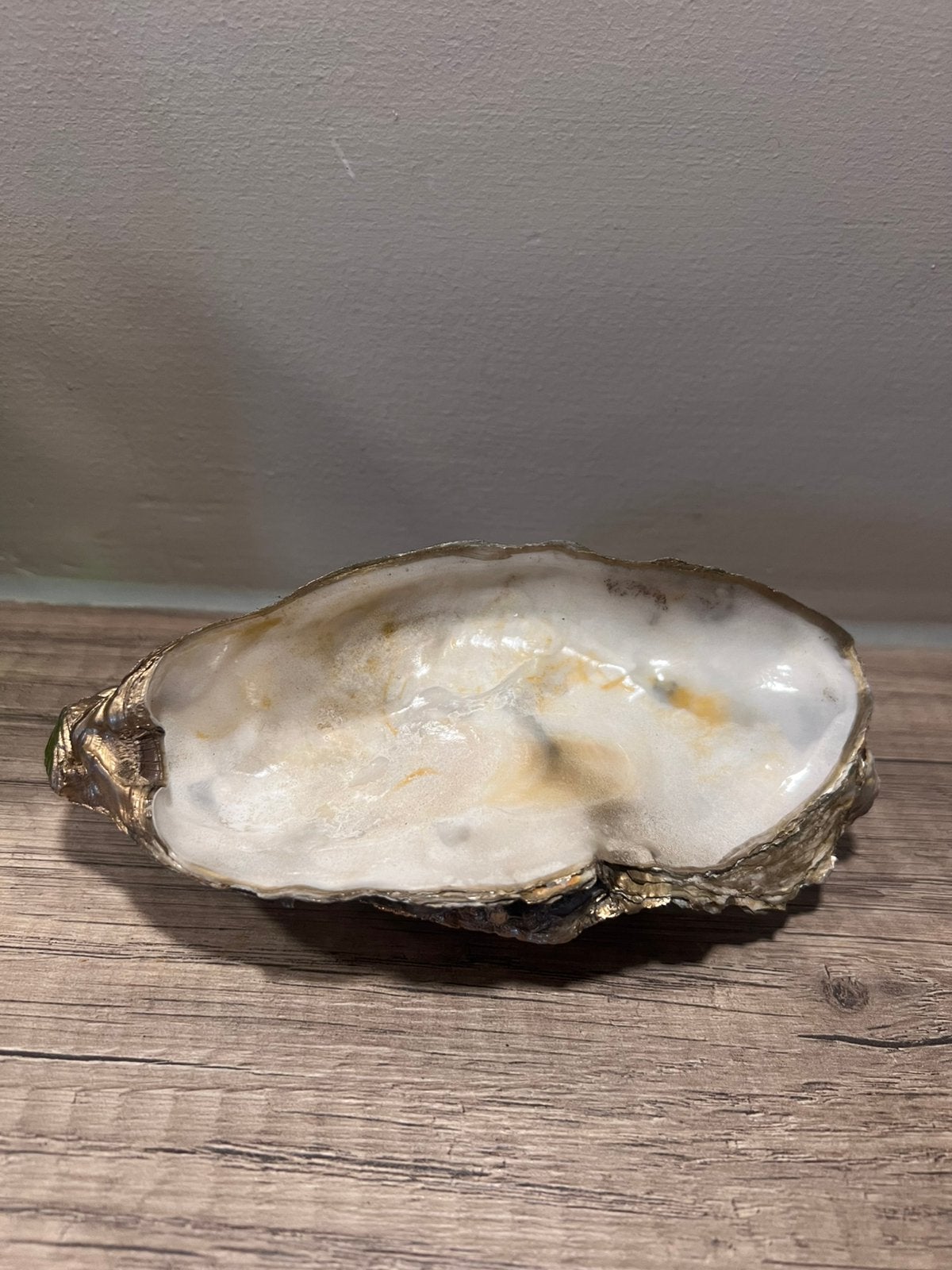 Oesterschelp decoratie, Verzamelen, Ophalen of Verzenden, Schelp(en)